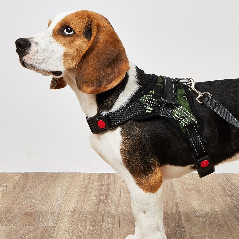 

1pc Letter Graphic No Pull Pet Harness & 1pc Pet Leash, Multicolor