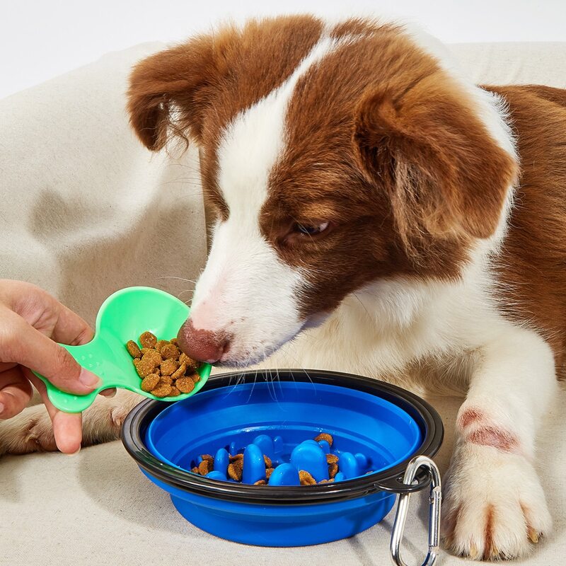 

1pc Slow Feeder Pet Bowl & 1pc Random Color Food Scoop, Blue