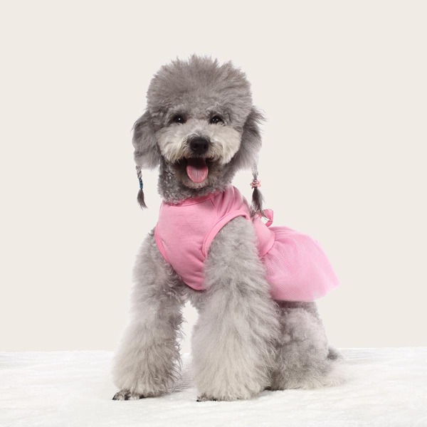

Bow Decor Contrast Mesh Pet Dress, Pink