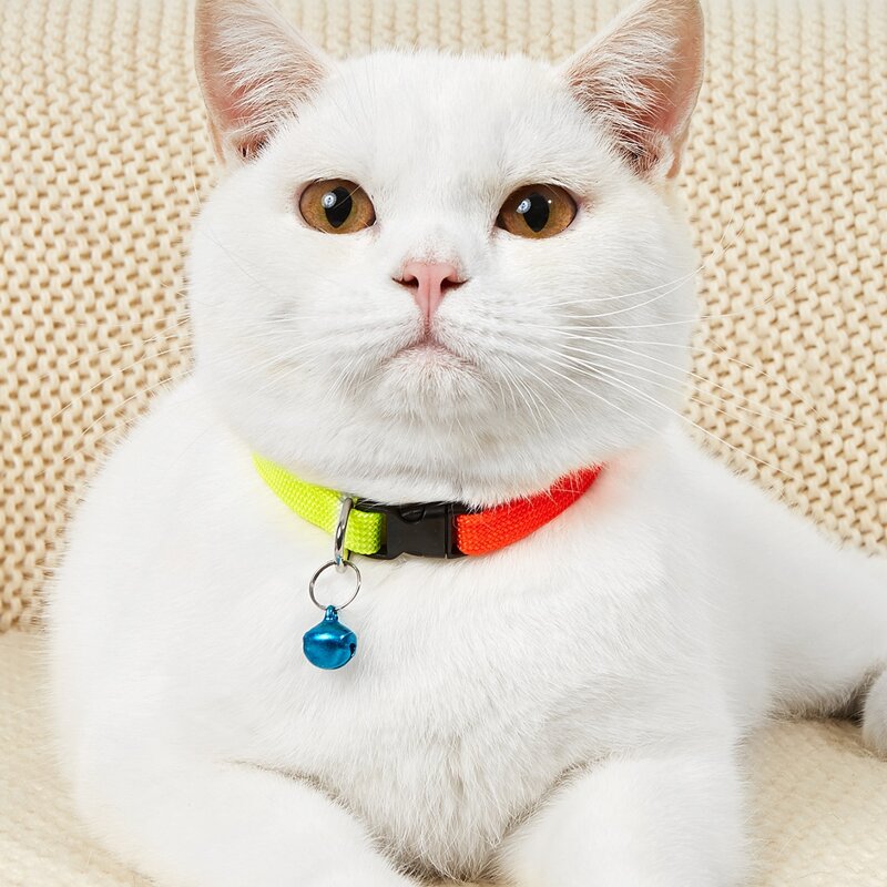 

Color Block Bell Decor Pet Collar, Multicolor