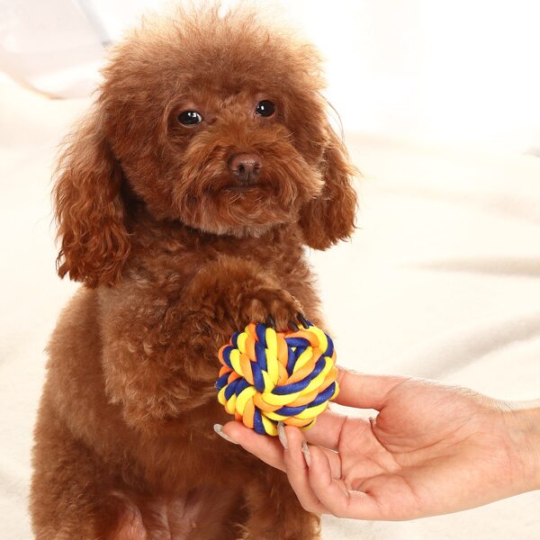 

Color Block Cotton Rope Pet Chew Toy, Multicolor
