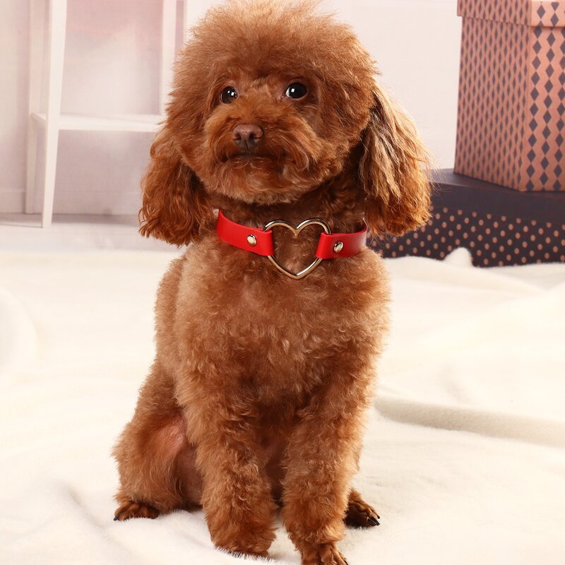 

Hollow Out Heart Decor Pet Necklace, Red