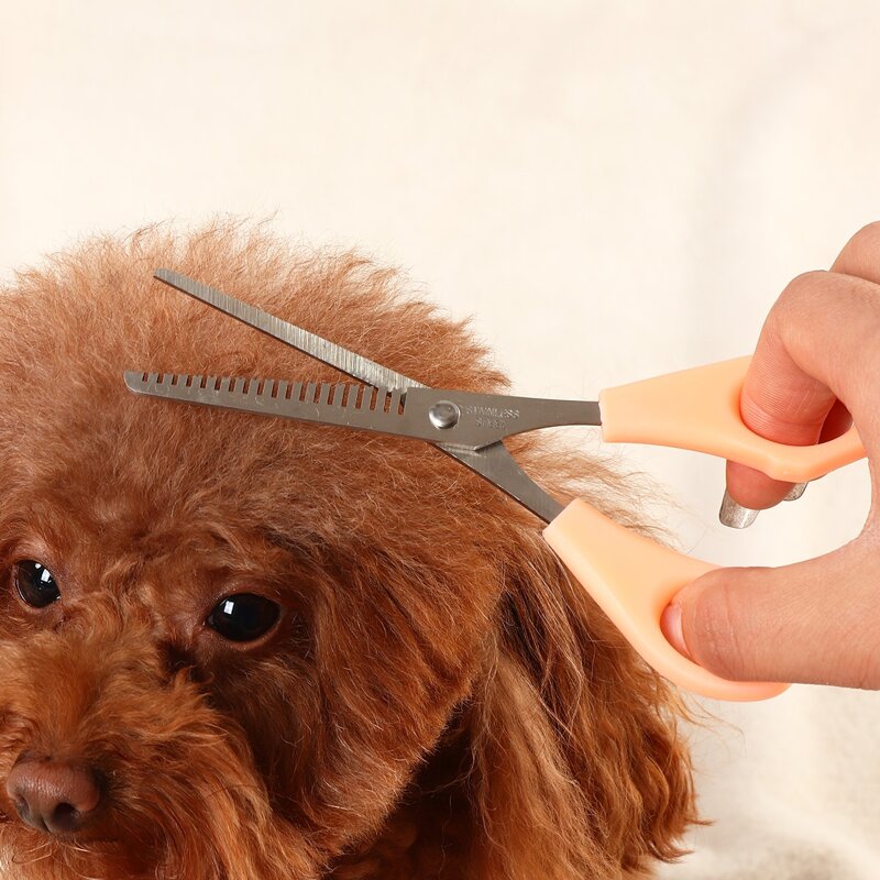 

Pet Grooming Scissors, Orange