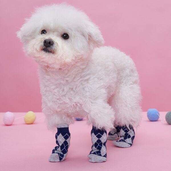 

4pcs Argyle Anti-slip Pet Socks, Multicolor
