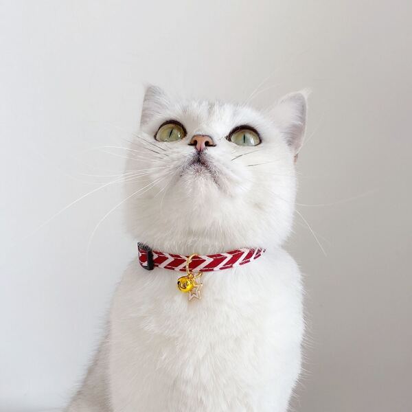 

Geometric Pattern Pet Necklace, Red and white