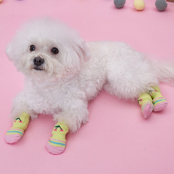 

4pcs Cherry Pattern Anti-slip Pet Socks, Yellow