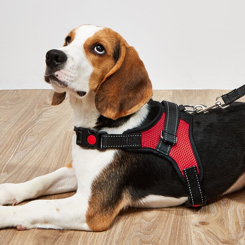 

1pc No Pull Pet Harness & 1pc Pet Leash, Red