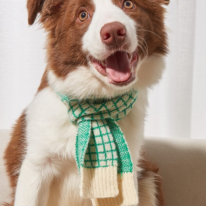 

1pc Plaid Pet Scarf, Green