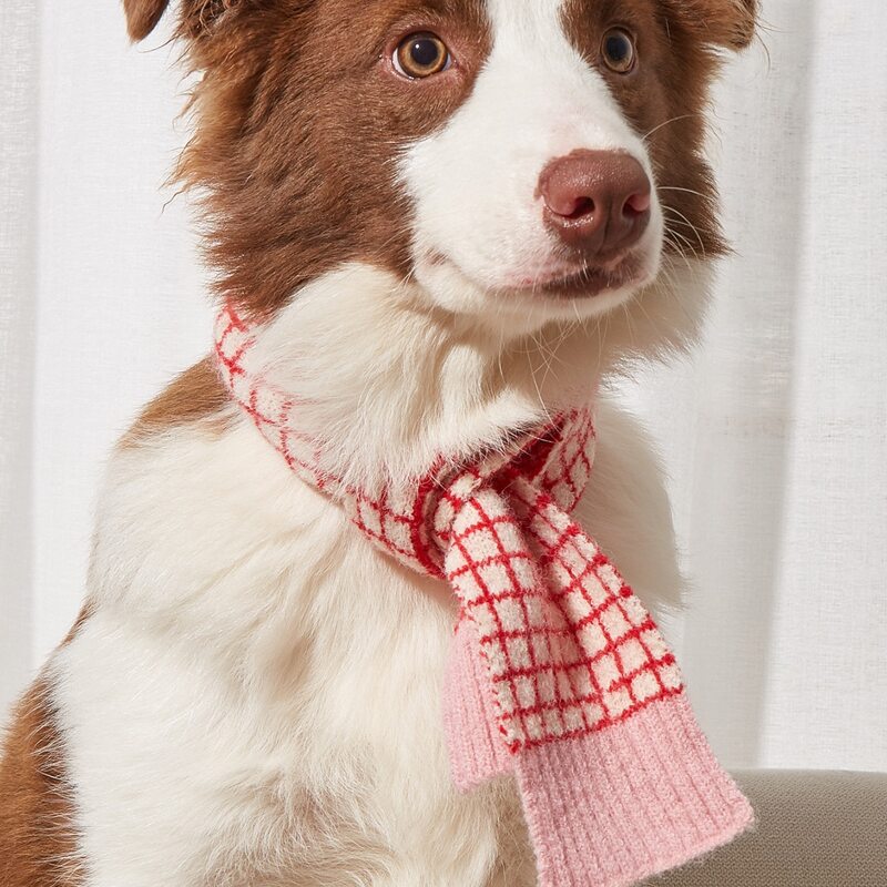 

1pc Plaid Pet Scarf, Multicolor