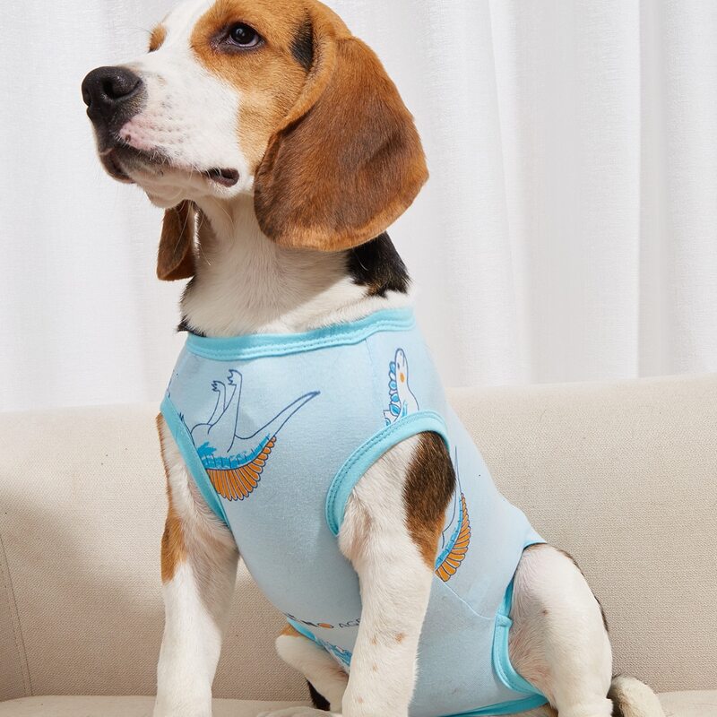 

Cartoon Graphic Pet Recovery Suit, Blue
