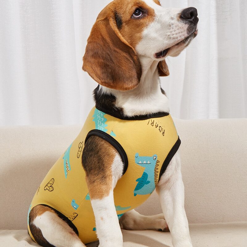 

Cartoon Graphic Pet Recovery Suit, Yellow