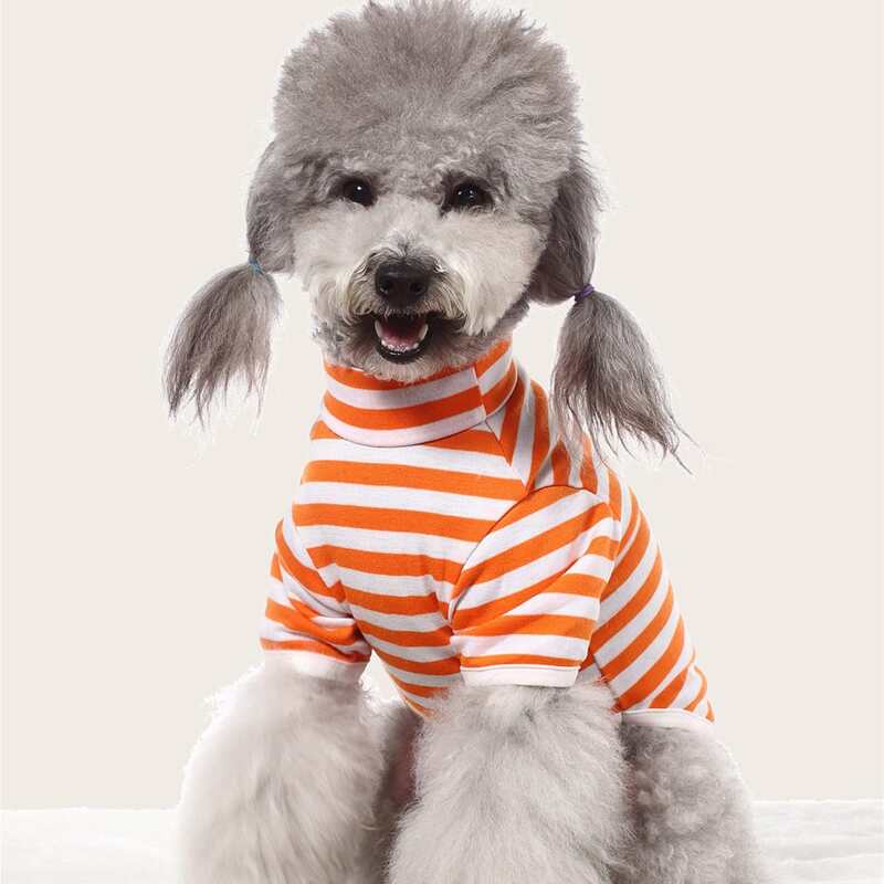 

Butterfly Print Striped Pet Tee, Multicolor