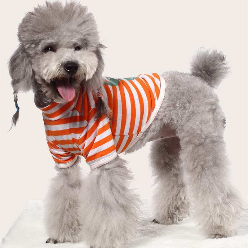 

Cartoon Dinosaur Striped Pet Tee, Multicolor