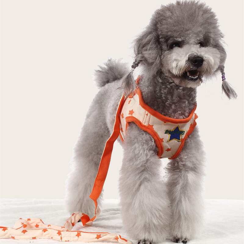

1pc Star Pattern Pet Harness & 1pc Pet Leash, Multicolor