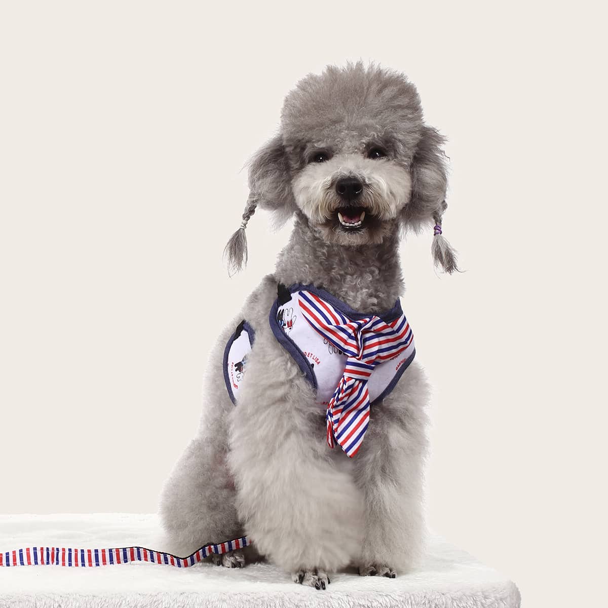 

1pc Cartoon Graphic Pet Harness & 1pc Pet Leash, Multicolor