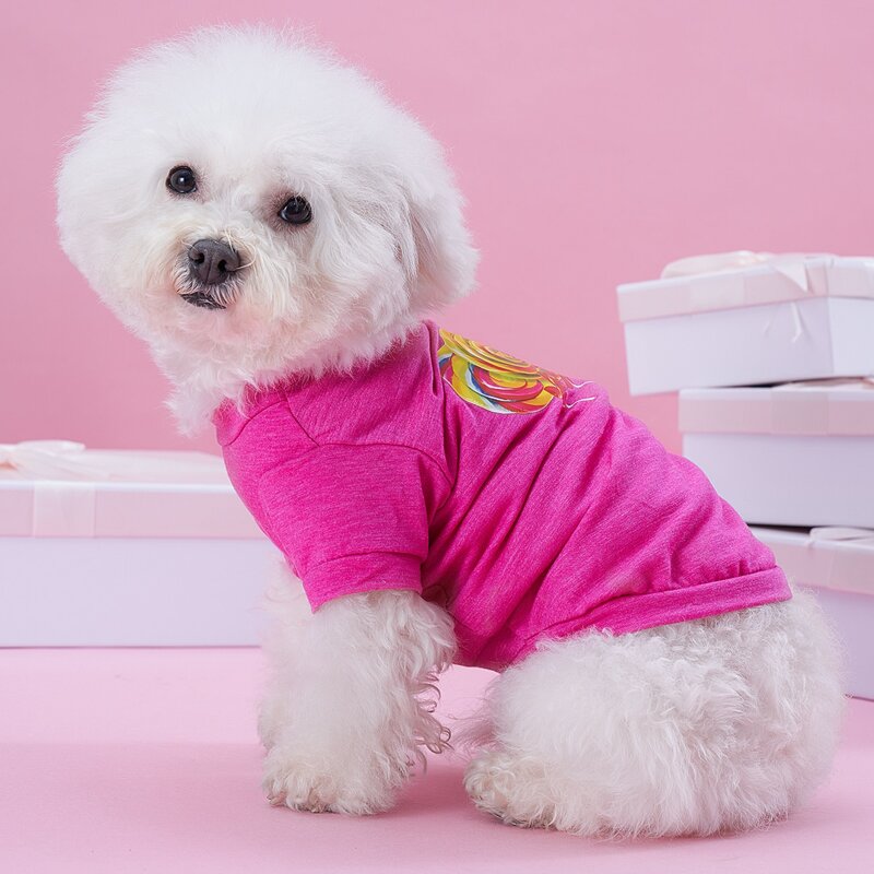 

Lollipop Pattern Pet Tee, Hot pink