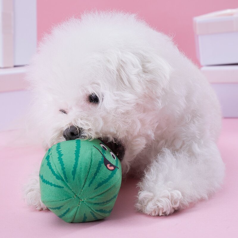 

Watermelon Design Pet Sound Toy, Green