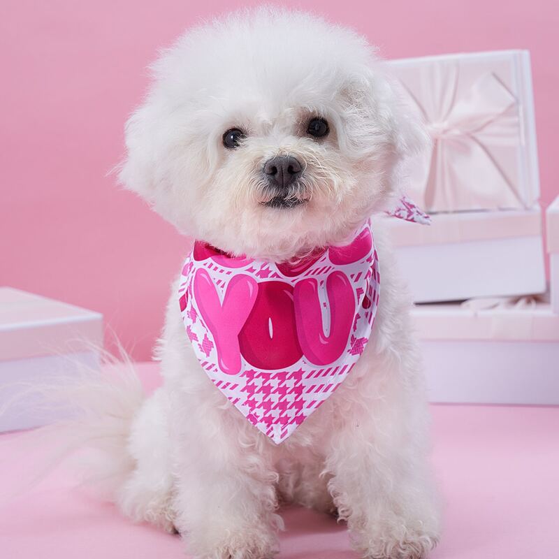 

Letter Graphic Pet Bandana, Hot pink
