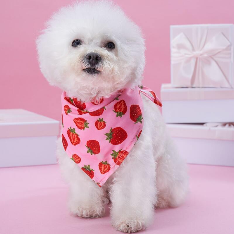 

Strawberry Pattern Pet Bandana, Pink