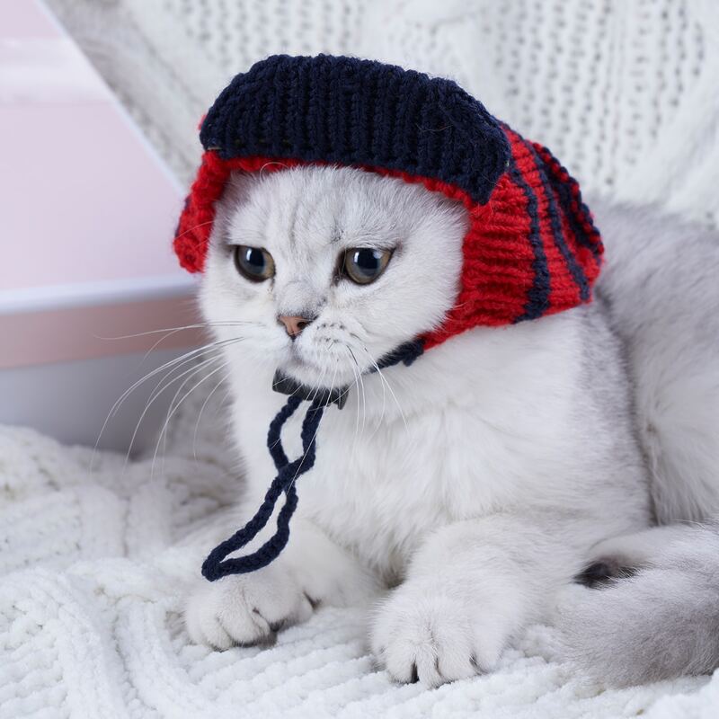 

Striped Knit Pet Hat, Multicolor