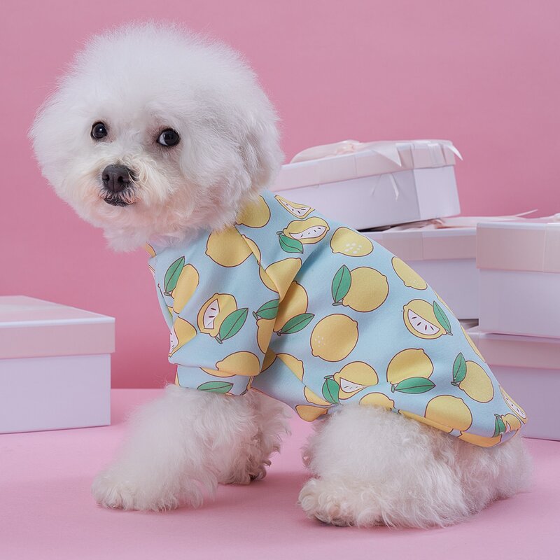 

Lemon Print Pet Sweatshirt, Multicolor