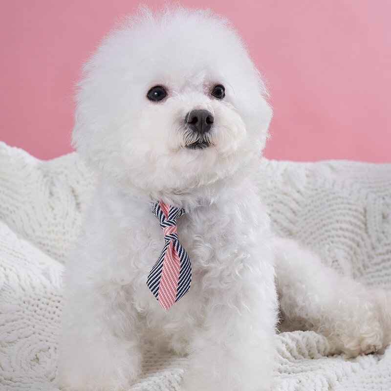 

Striped Tie Decor Pet Collar, Multicolor