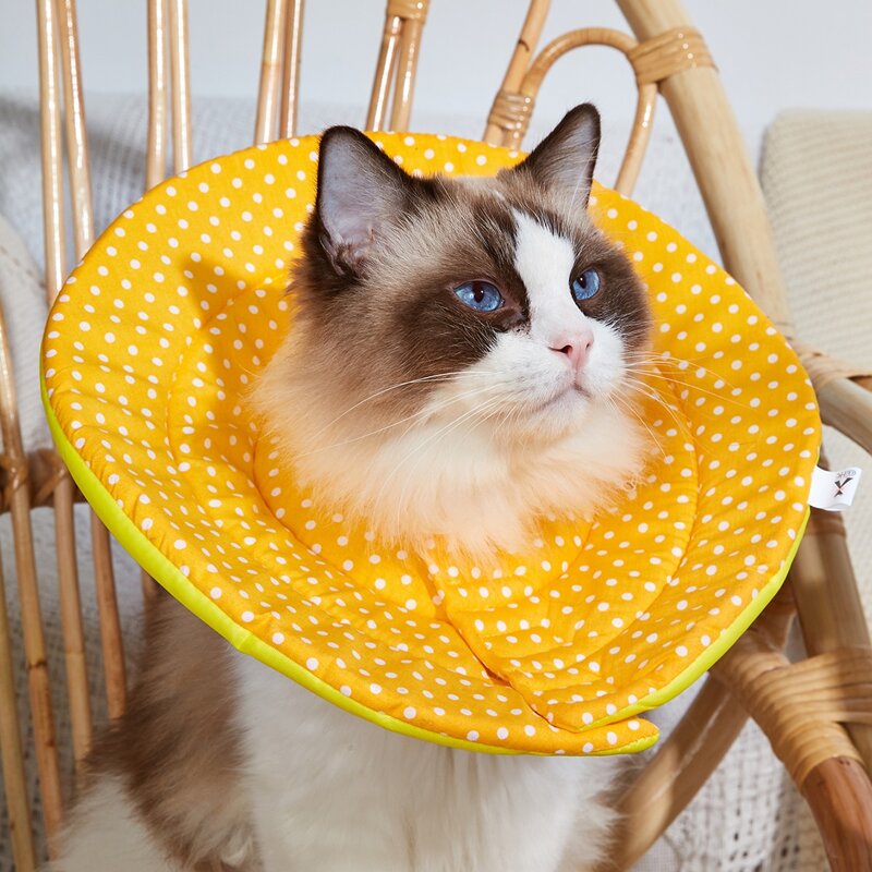 

Polka Dot Pet Elizabeth Collar, Yellow