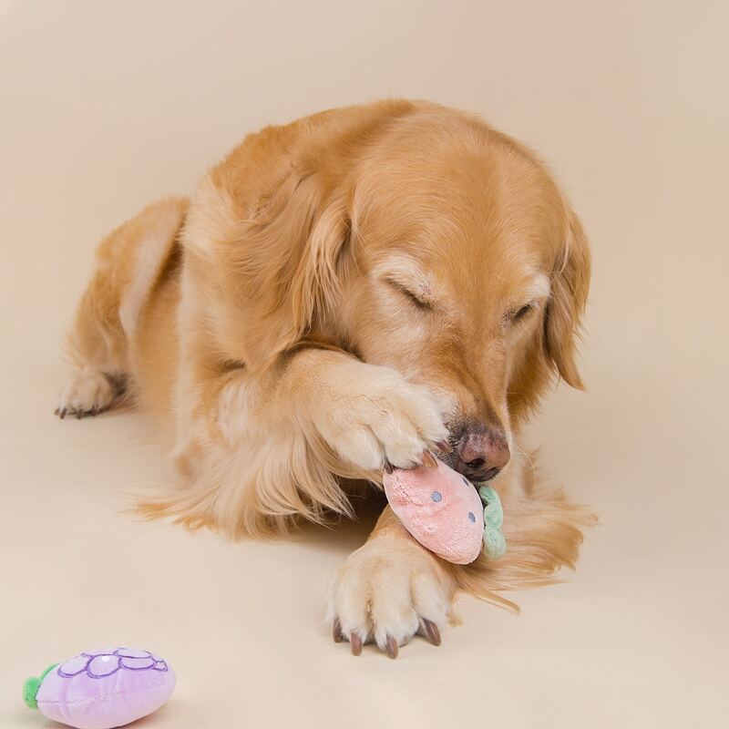 

2pcs Fruit Shaped Pet Sound Toy, Multicolor