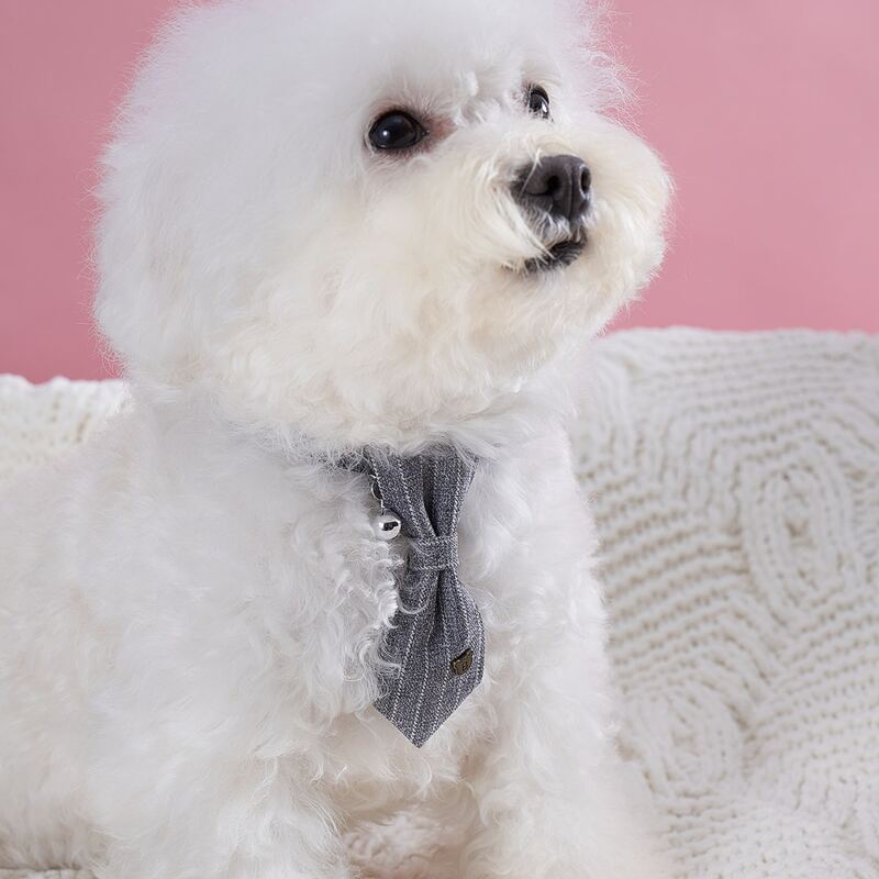 

Striped Tie Decor Pet Collar, Grey