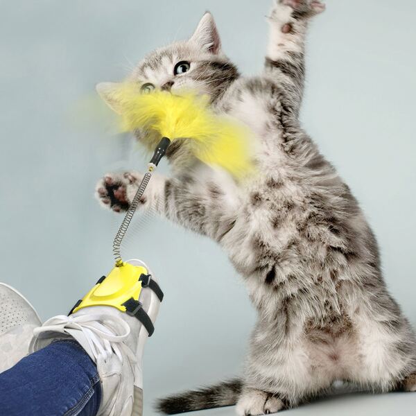 

Spring Design Cat Teaser, Yellow