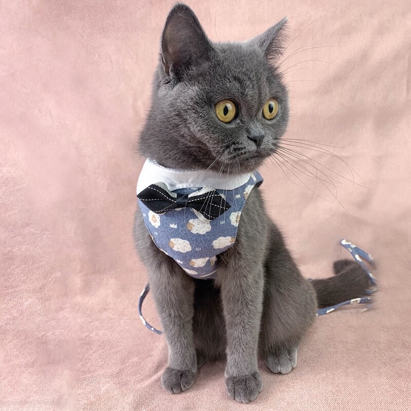 

1pc Bow Decor Cartoon Graphic Pet Harness & 1pc Pet Leash, Navy blue