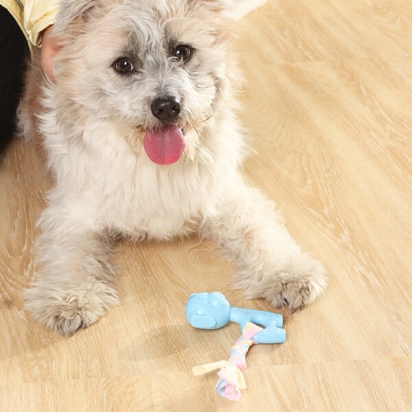 

1pc Cartoon Shaped Pet Chew Toy, Baby blue