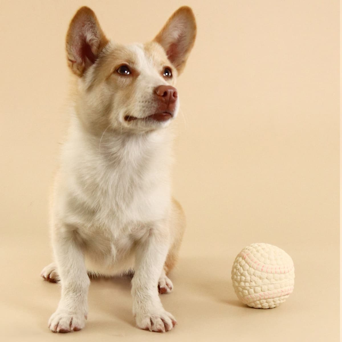 

Tennis Ball Design Pet Sound Toy, Pink
