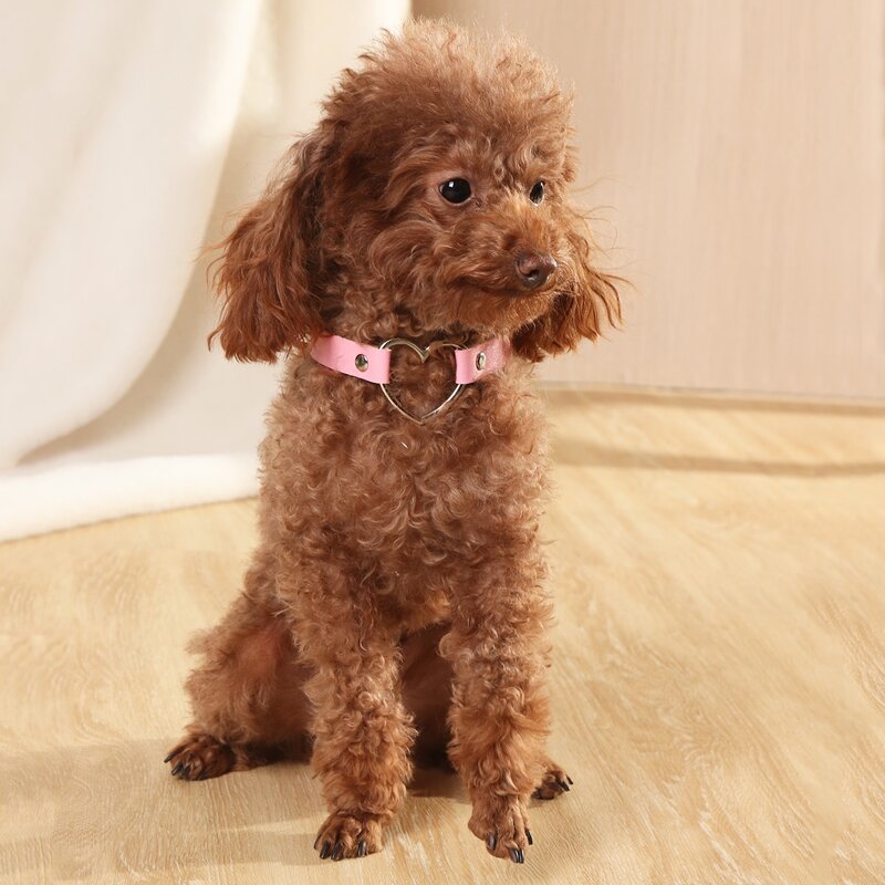 

Heart Detail Pet Choker, Baby pink