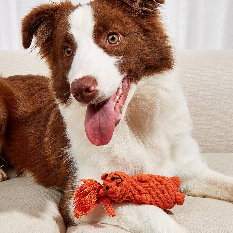 

Squirrel Shaped Pet Chew Toy, Orange