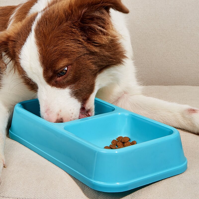 

Two Grid Pet Bowl, Blue