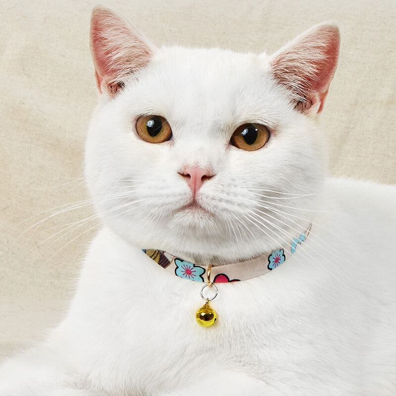 

1pc Flower Print Pet Necklace, Multicolor