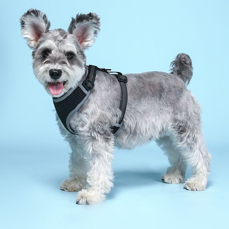 

1pc Contrast Mesh Pet Vest Harness, Black