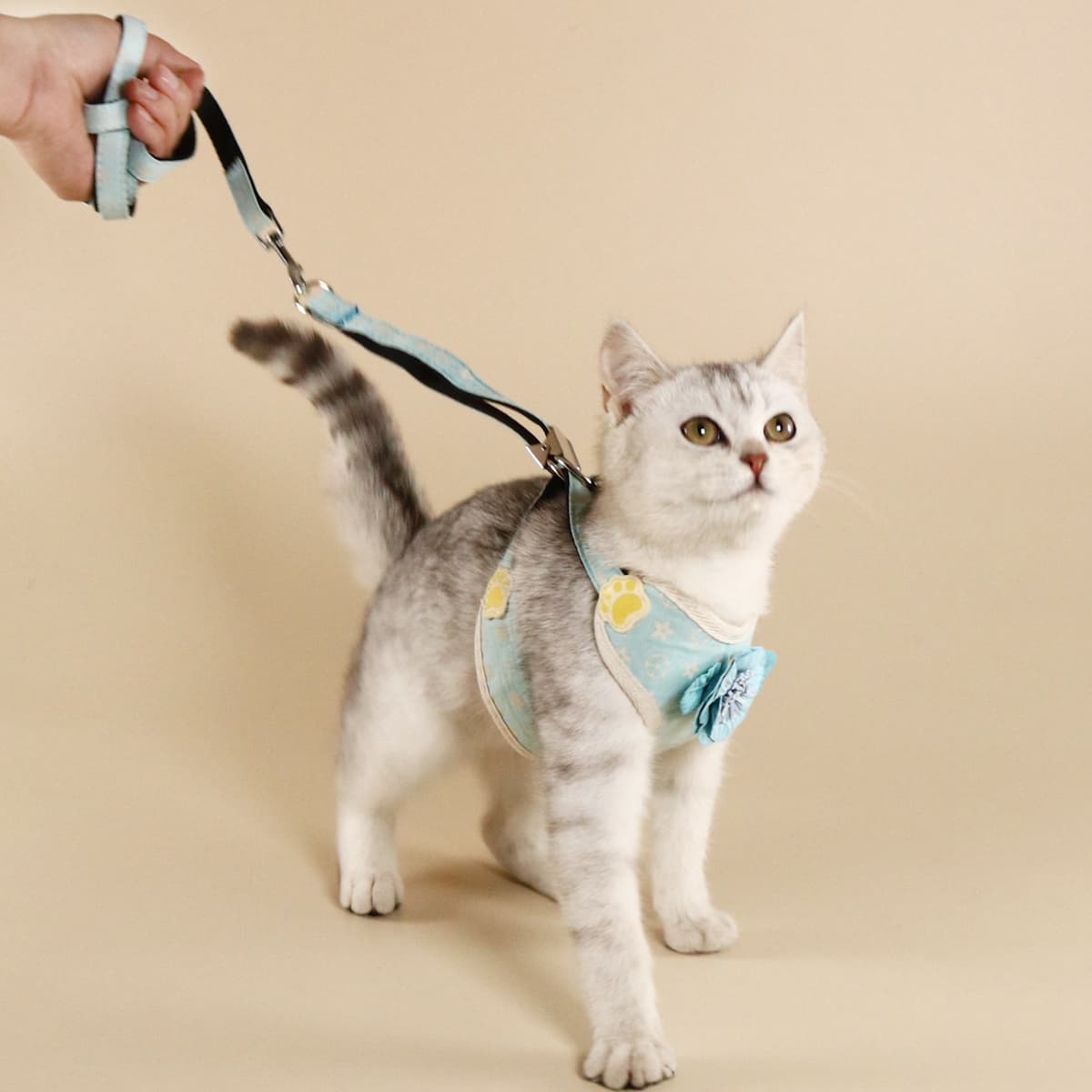 

1pc Flower Decor Pet Harness & 1pc Pet Leash, Blue