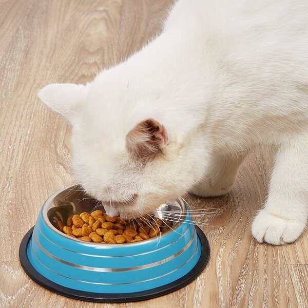 

1pc Stainless Steel Pet Bowl, Multicolor
