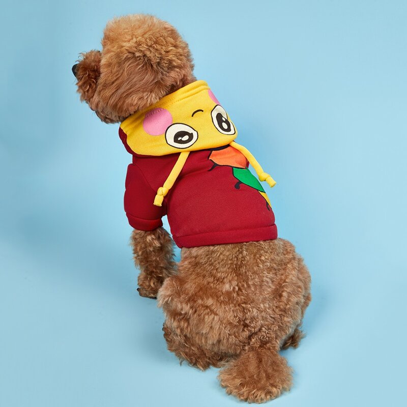 

Cartoon Graphic Pet Hooded Sweater, Multicolor
