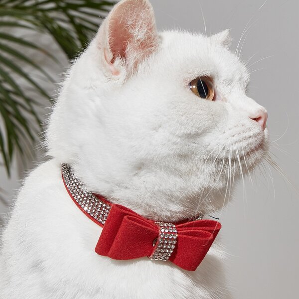 

1pc Bow-knot Decor Pet Collar, Red