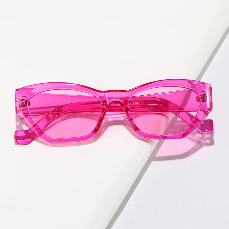 

Acrylic Frame Sunglasses