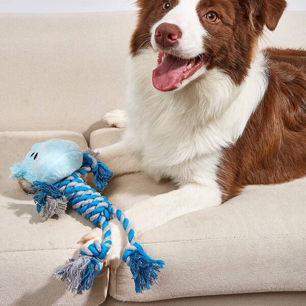 

Braided Cartoon Pet Chew Toy, Blue