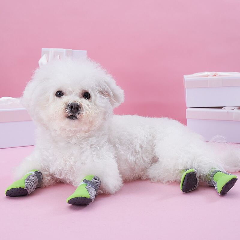 

4pcs Color Block Pet Shoes, Green