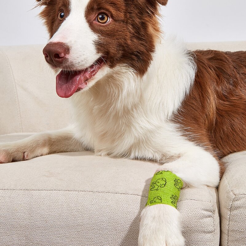 

1roll Cartoon Dog Print Pet Bandage, Green