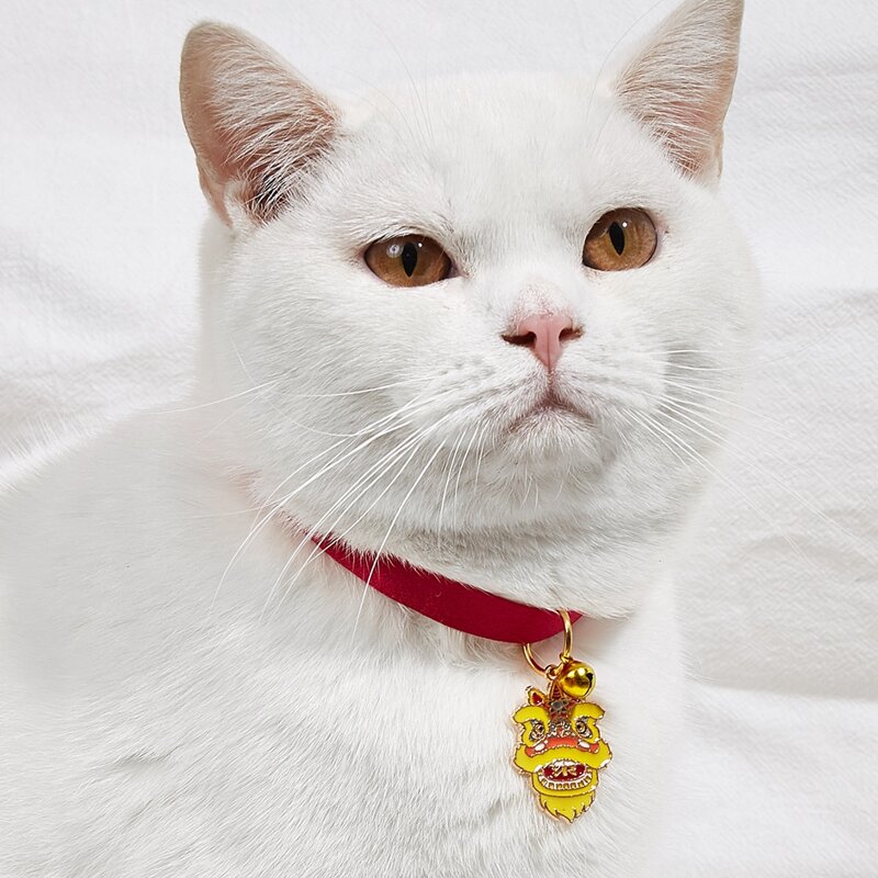 

Animal Design Pet Pendant, Multicolor