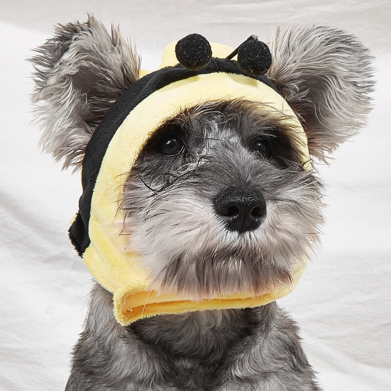 

Bee Design Pet Hat, Yellow