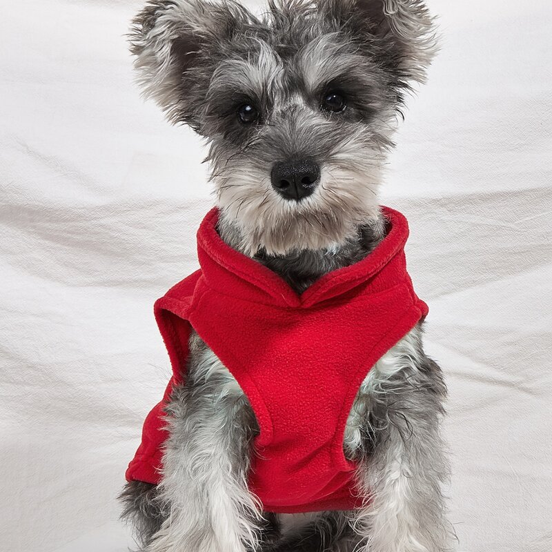 

Plain Pet Jacket, Red