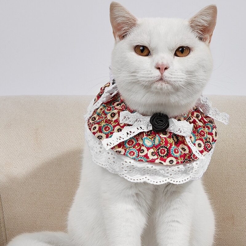 

Flower Print Lace Trim Pet Bandana, Multicolor